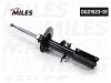 MILES DG2152301 Амортизатор