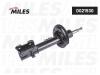 MILES DG21530 Амортизатор