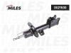 MILES DG21530 Амортизатор