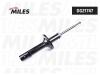 MILES DG21747 Амортизатор