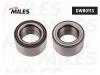 MILES DWB0113 Подшипник ступицы