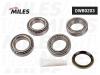 MILES DWB0203 Подшипник ступицы