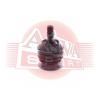 ASVA 0120MWD ОПОРА ШАРОВАЯ ПЕРЕДНЕГО ВЕРХНЕГО РЫЧАГА