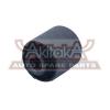 ASVA 0501066 Сайлентблок зад FORD FOCUS II (DB_, FCH, DH)