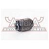 ASVA 1101CAPR1 Сайлентблок зад CHEVROLET CAPTIVA (C100, C140)