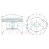 TEIKIN 42159 0.50 Поршни без колец Mazda F6 d81.0+0.50 на 4 цил. (F605-23-200) Teikin