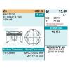 TEIKIN 421730.50 Поршень без колец Mazda Z5 d75.3+0.50 (Z5Y0-11-SBX) Teikin