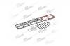 VADEN 1600060160 Ремкомплект компрессора wabco 9115045040/5050 DAF 95 XF прокладки+клапана
