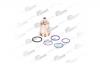 VADEN 489030002 Стакан форсунки Вольво ФШ 12 комплект с кольцом двигатель D12A B C