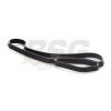 BSG BSG15116018 BSG 15-116-018_прокладка корпуса масл.фильтра!\ BMW E60/E61/E82/E83/E84/E85/E87/E88/E90/E91/E92