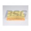 BSG BSG15135020 Фильтр воздушный