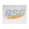 BSG BSG15135023 Фильтр воздушный