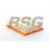 BSG BSG15135027 Фильтр воздушный