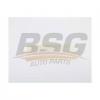 BSG BSG15145017 Фильтр воздушный