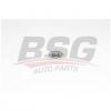BSG BSG15615010 Ролик натяжной ремня генератора
