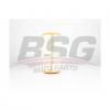 BSG BSG25135001 BSG 25-135-001_фильтр воздушный!\ Citroen Jumper/ Fiat Ducato/ Peugeot Boxer 2.2HDi/3.0HDi 06&gt;