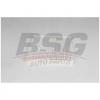 BSG BSG25145005 Фильтр воздушный