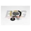 BSG BSG30102001 BSG 30-102-001_натяжитель цепи ГРМ!\ Ford Transit 2.4 Duratorq-TDCI (120PC) 06&gt;