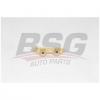 BSG BSG30109019 BSG 30-109-019_успокоитель цепи ГРМ!\ Ford Transit 2.4 06&gt;