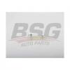 BSG BSG30109041 BSG 30-109-041_направляющая цепи ГРМ!/ Ford Ranger 12-15/Transit 14&amp;gt;/Transit 2.2-2.4D 06-13