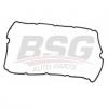 BSG BSG30116066 Прокладка клапанной крышки / FORD Mondeo-III,Transit 2.0/2.2/2.4 Duratorq-DI 01