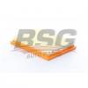 BSG BSG30135028 BSG 30-135-028_фильтр воздушный!\ Ford Fiesta/Fusion 1.25-1.6 01&gt;, Mazda 2 1.4/1.6 03&gt;