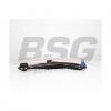 BSG BSG30315058 Рычаг нижний передний L