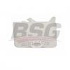 BSG BSG30550018 Бачок расширительный / ford c-max,focus-iii, kuga 11~