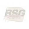BSG BSG30550020 Бачок расширительный