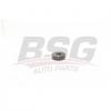 BSG BSG60615021 Ролик натяжной приводного ремня