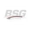 BSG BSG70925001 Накладка двери