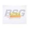 BSG BSG75135022 Фильтр - воздушный