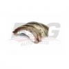 BSG BSG75205004 Колодки тормозные барабанные