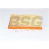 BSG BSG90135020 Фильтр воздушный