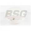 BSG BSG 90-550-002 Компенсационный бак, охлаждающая жидкость