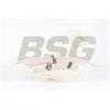 BSG BSG 90-550-003 Компенсационный бак, охлаждающая жидкость