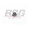 BSG BSG90600019 Ступица колеса - задн.