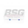 BSG BSG 90-801-002 Рассеиватель, основная фара