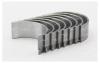 AUTOWELT BE33001 вкладыши шатунные NISSAN GA13-16/QG15-18  0.25