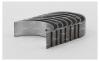AUTOWELT BE51081 Вкладыши шатунные 0.25 AUDI/SKODA/VW 1.4i 16V/1.6i 16V