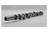 AUTOWELT CS51000 распредвал VW AAB  074109101B