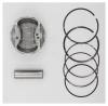 AUTOWELT PN31010 PN-31010 ПОРШЕНЬ В СБОРЕ STD MAZDA Z5-DE
