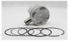 AUTOWELT PN31010 PN-31010 ПОРШЕНЬ В СБОРЕ STD MAZDA Z5-DE