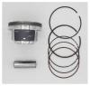 AUTOWELT PN-31190 PN-31190 поршень в сборе STD MAZDA L3