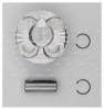 AUTOWELT PN50261 PN-50261_PN-50261 поршень 0.50 BMW 1.6i 16V N13B16A/N18B16A