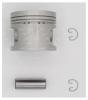 AUTOWELT PN51052 Поршень 0.25 AUDI/VW 1.6 ABM/EW/PN/JU...