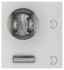 AUTOWELT PN51052 Поршень 0.25 AUDI/VW 1.6 ABM/EW/PN/JU...