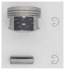 AUTOWELT PN51062 ПОРШЕНЬ 0.25 AUDI/VW 1.6 ADP/AEH/AEK...