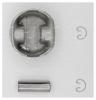 AUTOWELT PN51062 ПОРШЕНЬ 0.25 AUDI/VW 1.6 ADP/AEH/AEK...