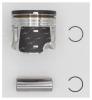 AUTOWELT PN51152 PN-51152 ПОРШЕНЬ 1.00 AUDI/VW 1.9TDI 1Z/AFN... 1/2ЦИЛ.